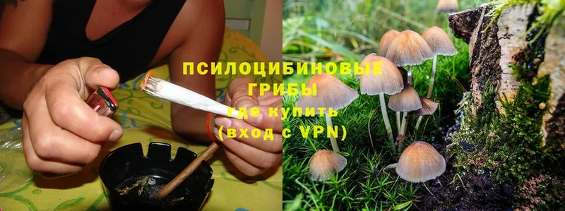 Псилоцибиновые грибы Psilocybe  Ейск 